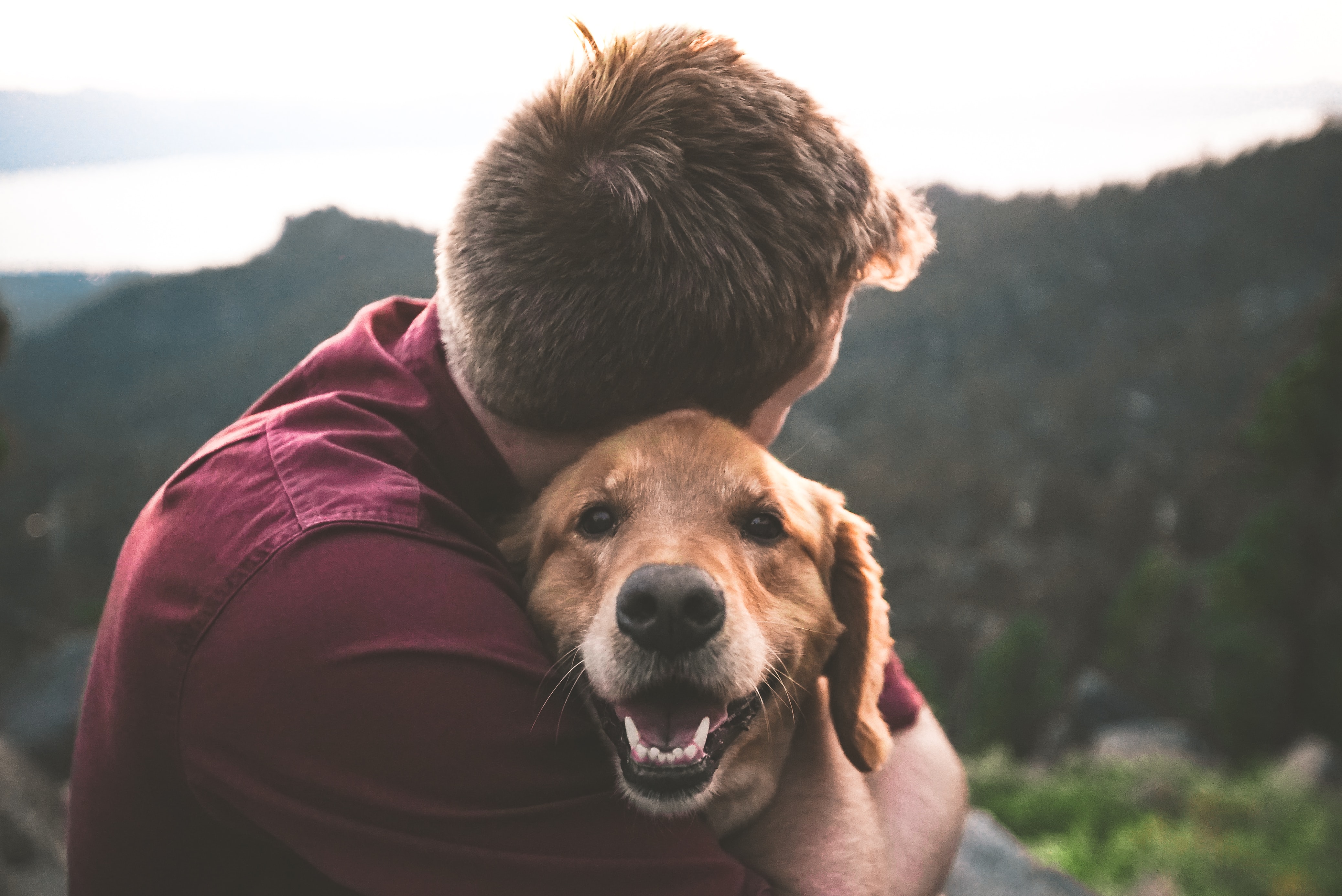 Man hugging his dog. Dog is looking at you with its puppy eyes